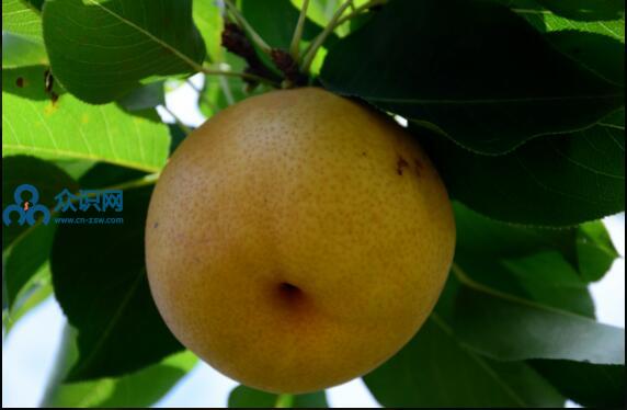 ABUIABACGAAg2cWZ6gUolImMTjC8BDj2Ag