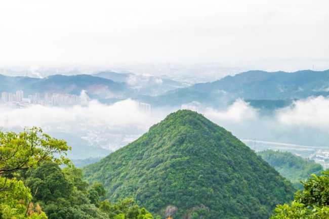 1055325361-8 1055325361-8