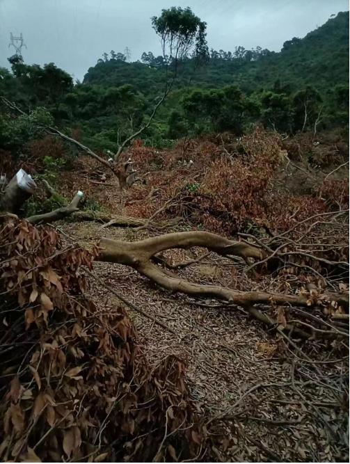 11243IC0-6 11243IC0-6