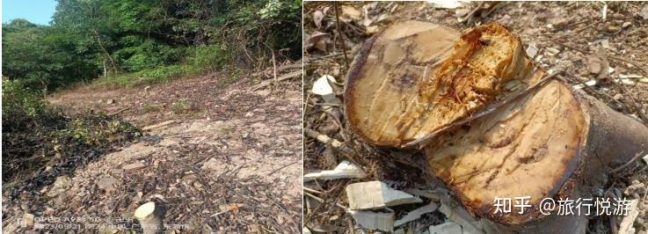 v2-8ded7cd5626338af4af8760ae2673214_1440w v2-8ded7cd5626338af4af8760ae2673214_1440w