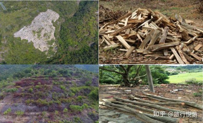 v2-cb96c4481eabba0b449439d7c88ccd88_1440w v2-cb96c4481eabba0b449439d7c88ccd88_1440w