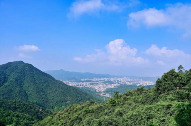 15124T4W-1 15124T4W-1